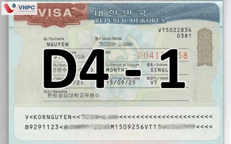 Visa D41